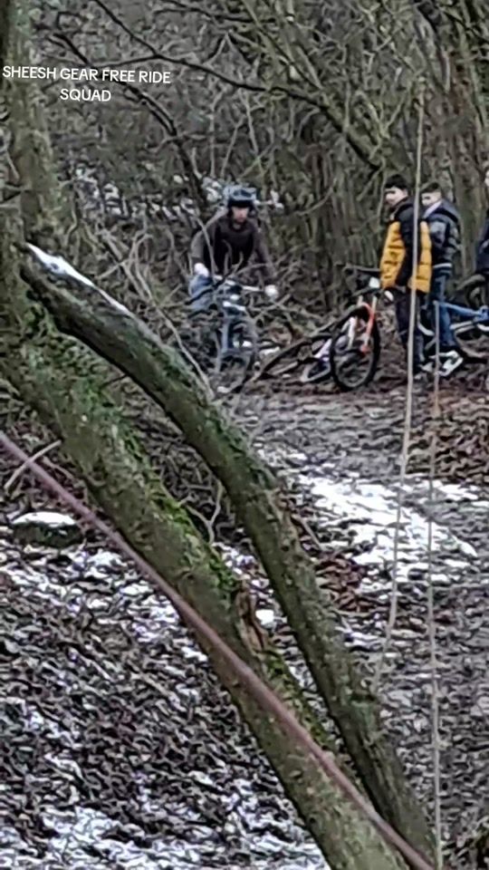 TikTok video thumbnail by freeride.roland3