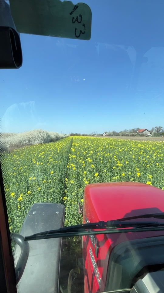 TikTok video thumbnail by deni.agro