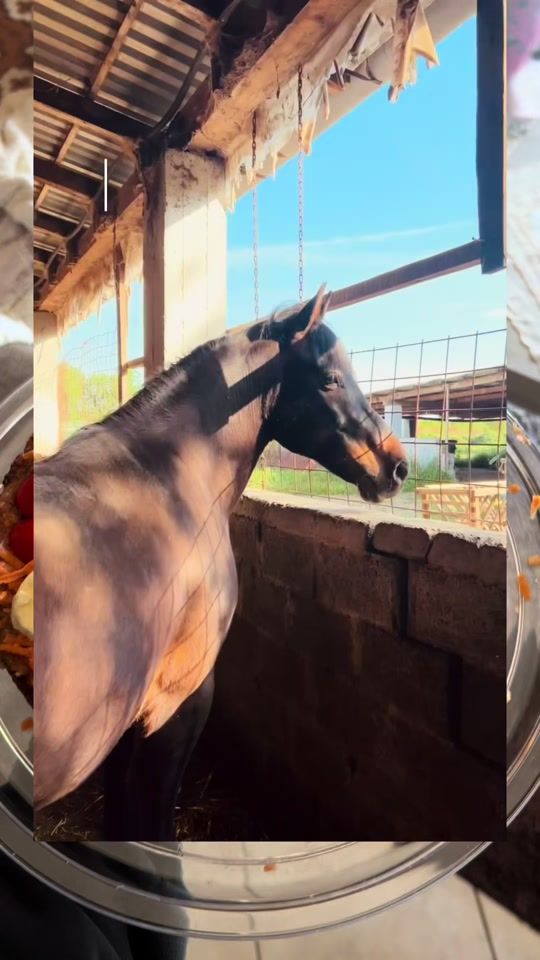 TikTok video thumbnail by tatsiou_