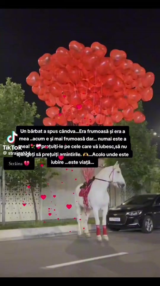 TikTok video thumbnail by aly90.cla