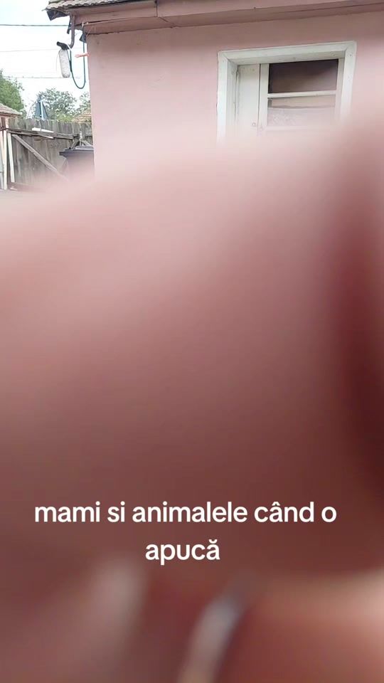 TikTok video thumbnail by marinmirela700