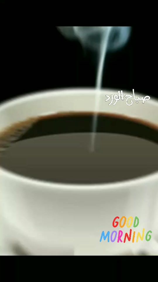 TikTok video thumbnail by jamal.ammar0