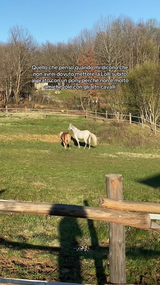 TikTok video thumbnail by equestrian_ale