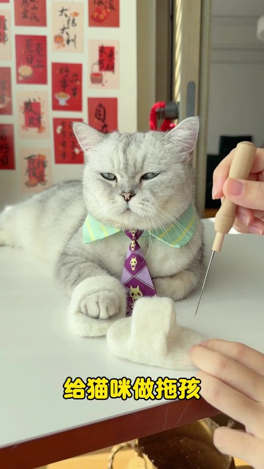 TikTok video thumbnail by kittygod_cn