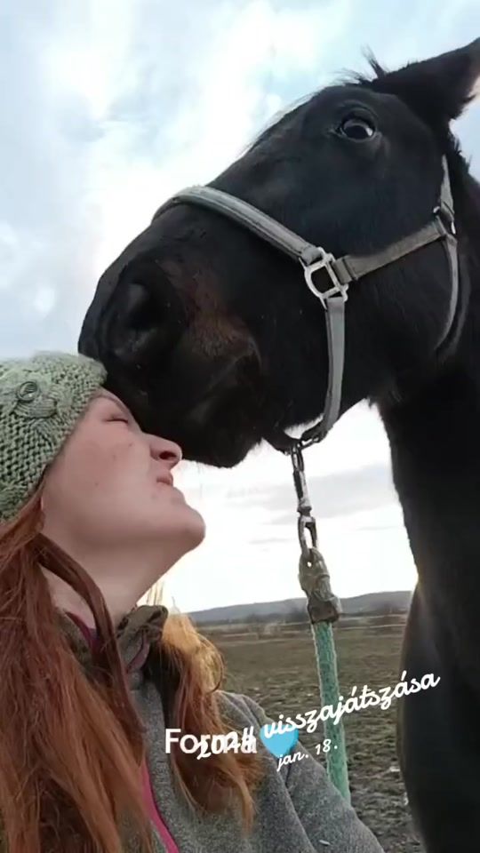 TikTok video thumbnail by halasicsilla
