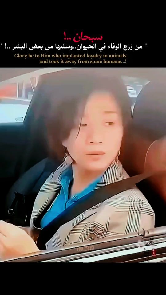 TikTok video thumbnail by mouemen.30