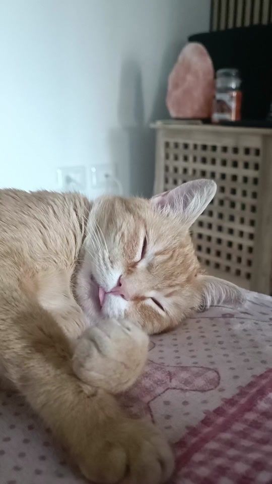 TikTok video thumbnail by hiimterryy