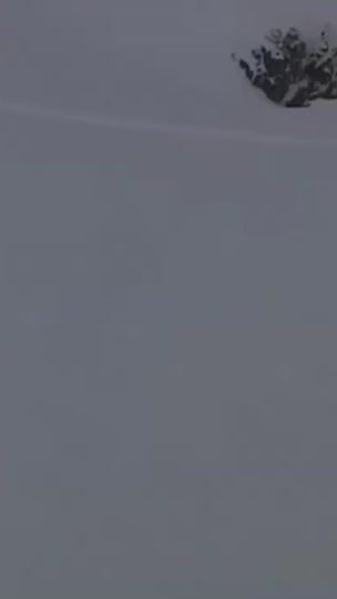 TikTok video thumbnail by freddplsic0