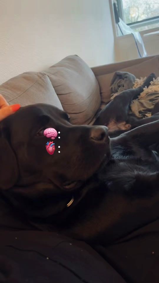 TikTok video thumbnail by vaps_carlo