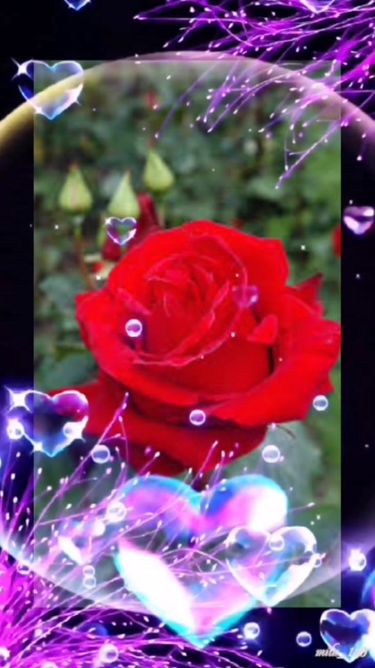 TikTok video thumbnail by william.goungbe