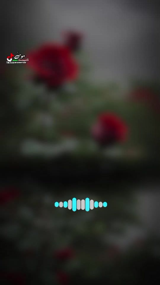 TikTok video thumbnail by musawazir378