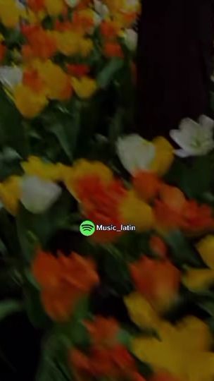 TikTok video thumbnail by ale.vels8