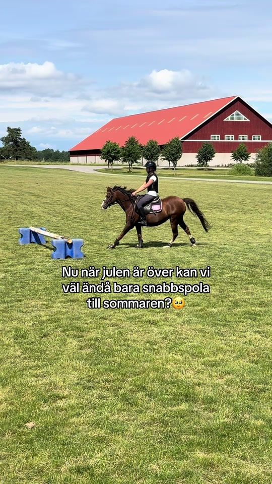 TikTok video thumbnail by linneaml.equi
