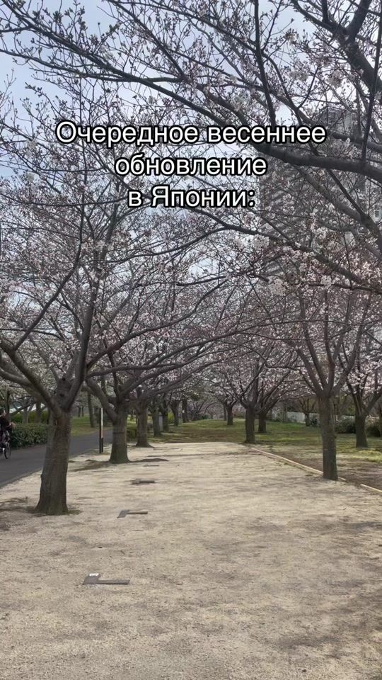 TikTok video thumbnail by ed_sen09