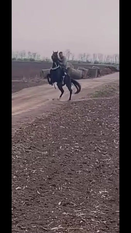 TikTok video thumbnail by peterradnai