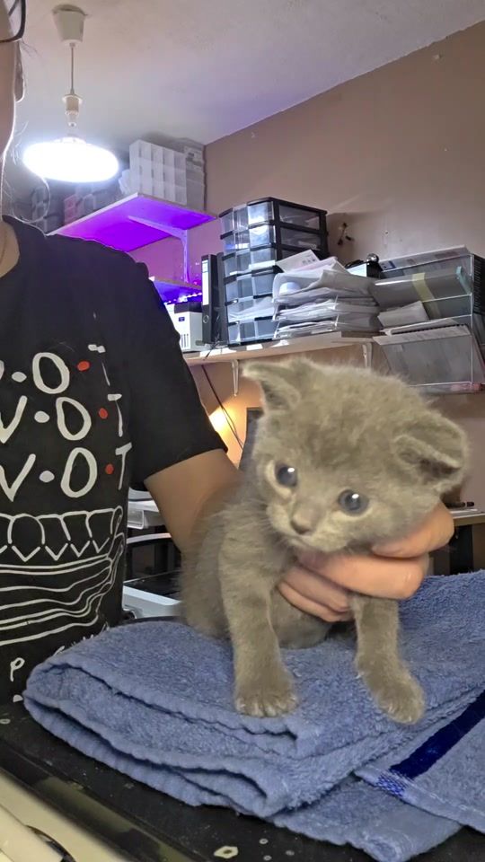 TikTok video thumbnail by clochette.andcie
