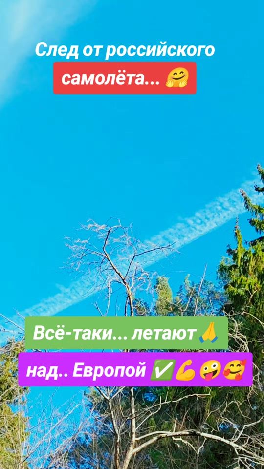 TikTok video thumbnail by aliuncik6