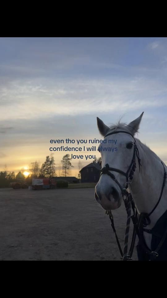 TikTok video thumbnail by leonoradyrudd