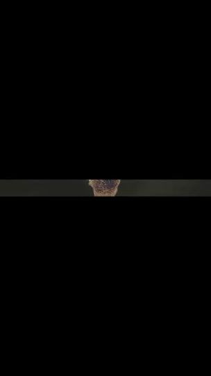 TikTok video thumbnail by dailybreadoriginal