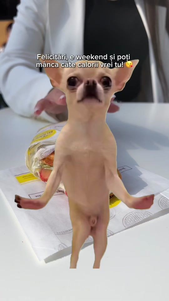 TikTok video thumbnail by famouswafflesro