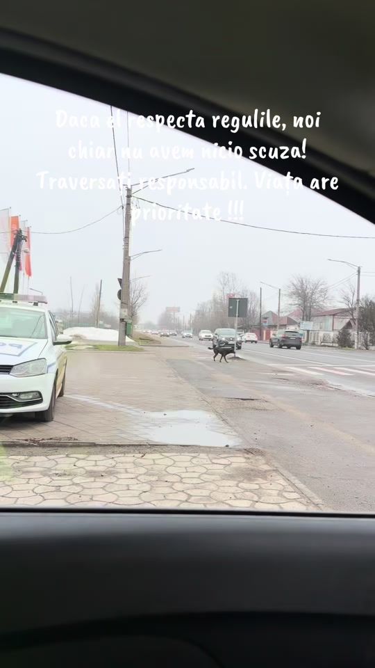 TikTok video thumbnail by alin_ptm