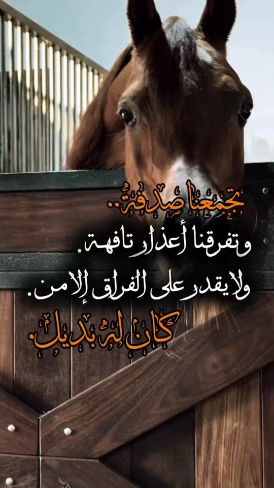 TikTok video thumbnail by o__alfaruq
