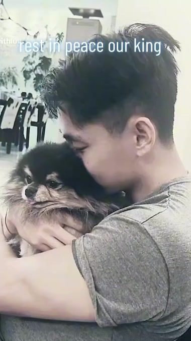 TikTok video thumbnail by kdram327