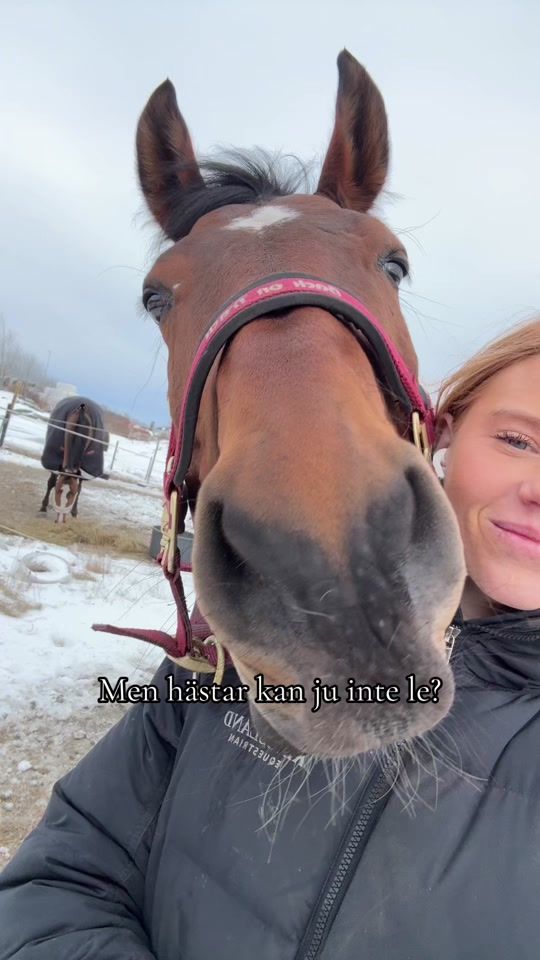 TikTok video thumbnail by nicole.palm05