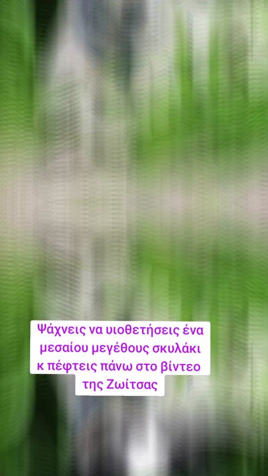TikTok video thumbnail by adespotoi_stray_rescue
