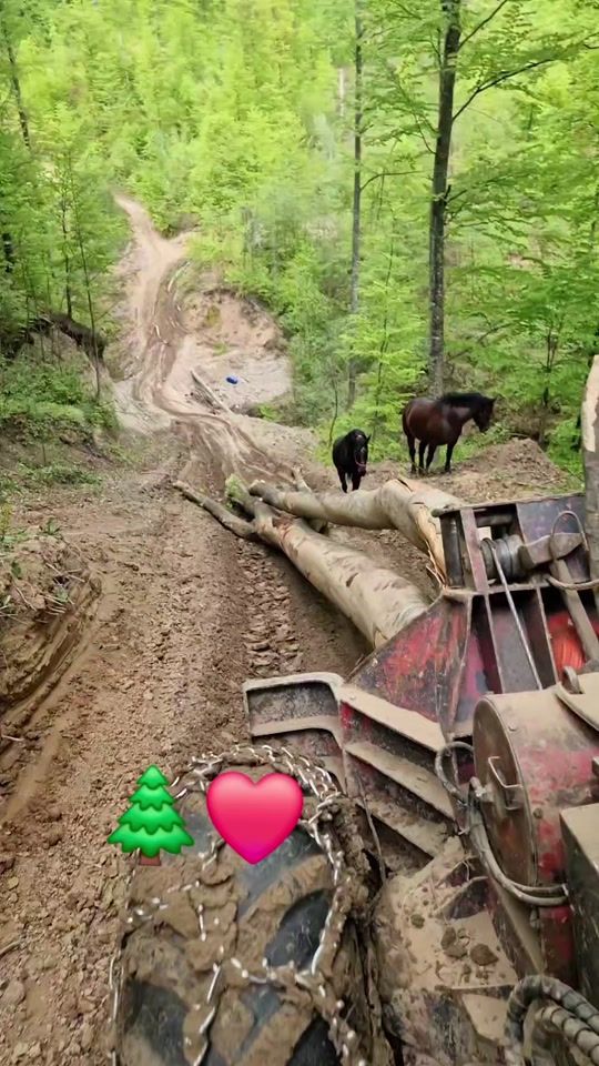 TikTok video thumbnail by mcf_marius7080
