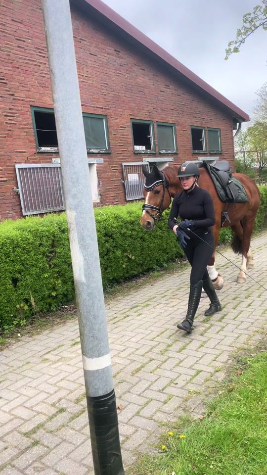 TikTok video thumbnail by hannahsdressage_