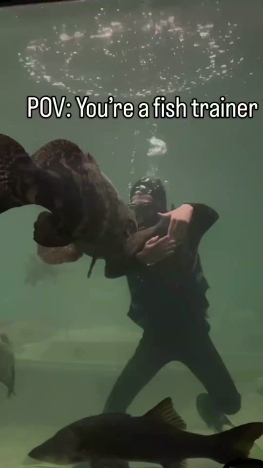 TikTok video thumbnail by fish.of.the.week29