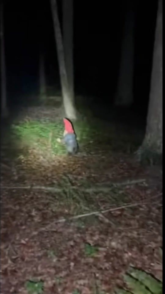 TikTok video thumbnail by mariolaudati