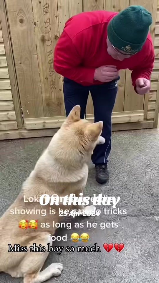 TikTok video thumbnail by josephinefitzgera2