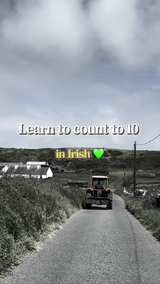 TikTok video thumbnail by gaeilgelejane