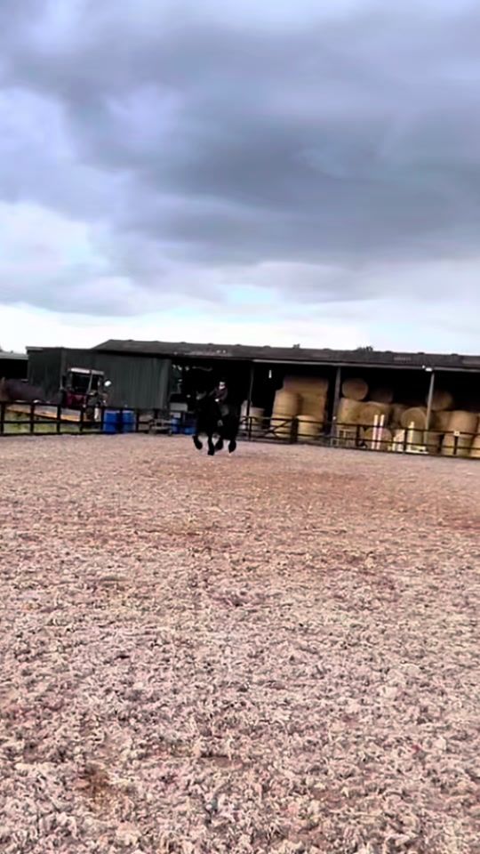 TikTok video thumbnail by equi.faithh