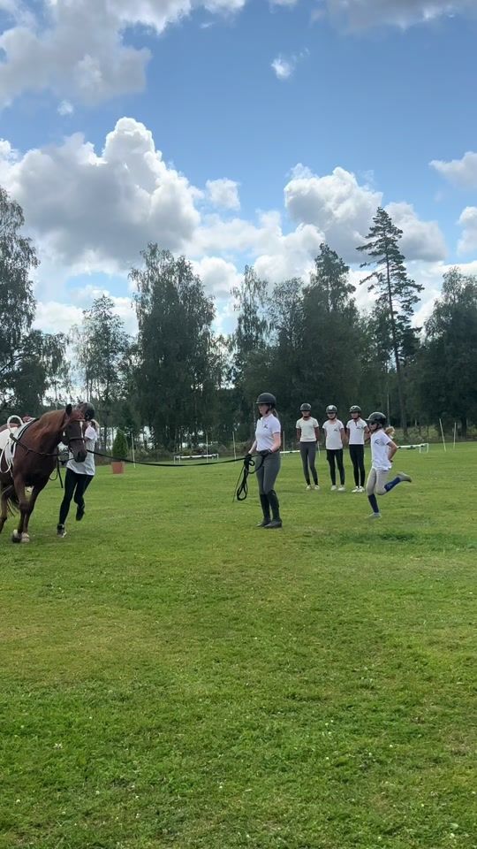 TikTok video thumbnail by thea.equi