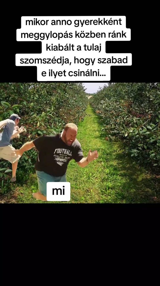 TikTok video thumbnail by nagynimrod98
