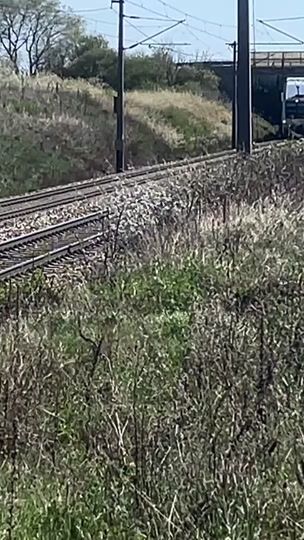 TikTok video thumbnail by trainspotter_markus_2001