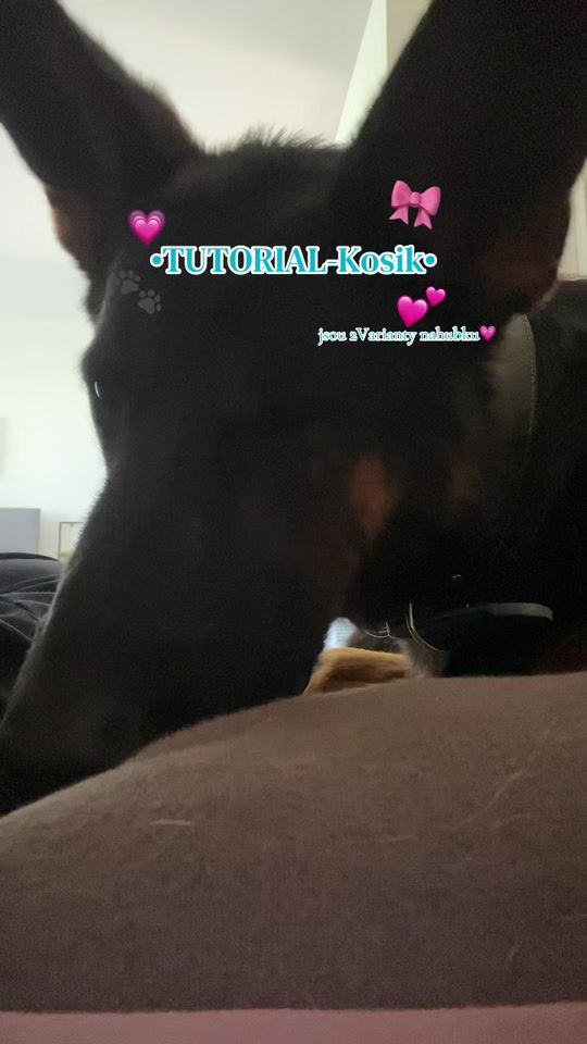 TikTok video thumbnail by rex4619