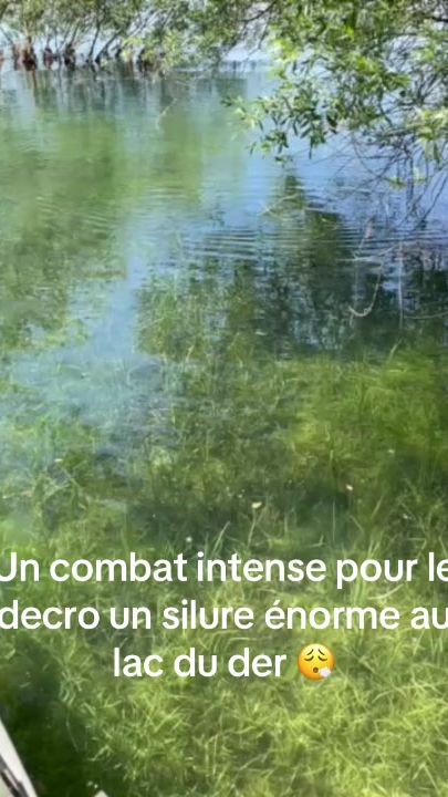 TikTok video thumbnail by clement_fishing114