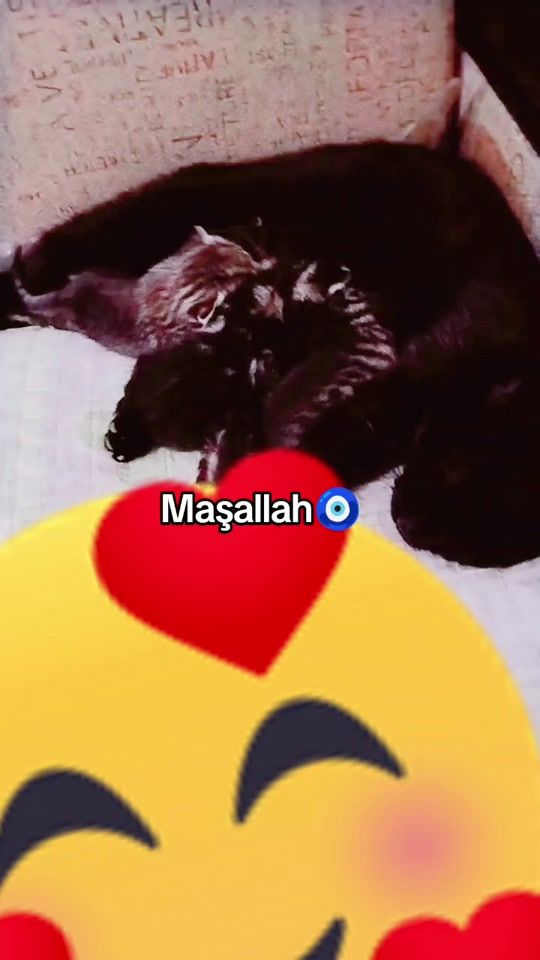 TikTok video thumbnail by efo996