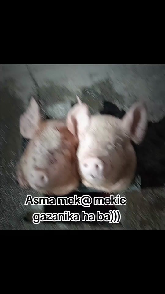 TikTok video thumbnail by gjojan