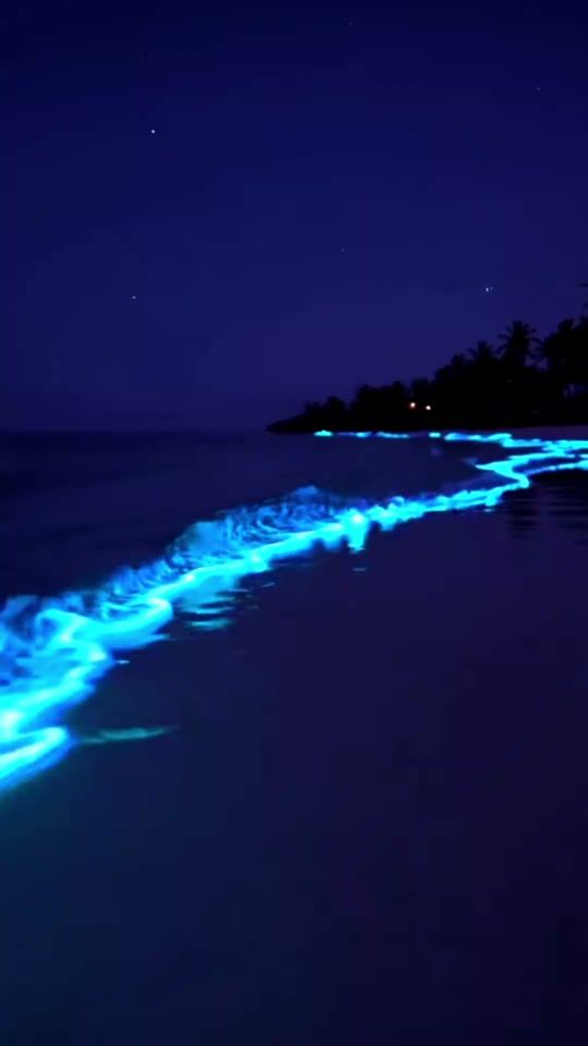 TikTok video thumbnail by pat459788