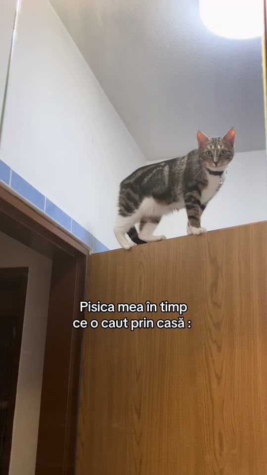 TikTok video thumbnail by gabriela.d96