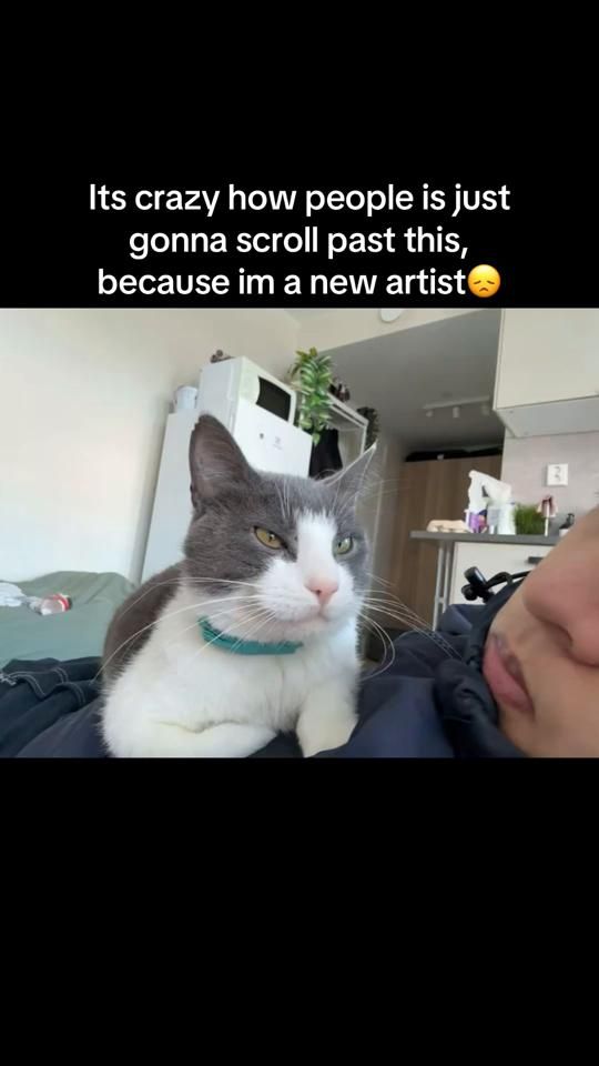 TikTok video thumbnail by darrell_iscool
