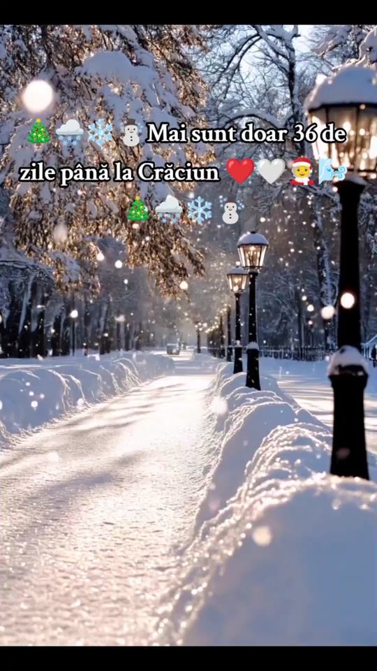 TikTok video thumbnail by craciun.fericit08