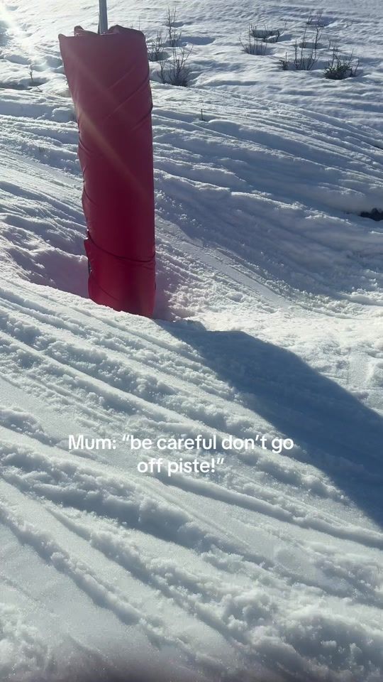 TikTok video thumbnail by morganfletcher21