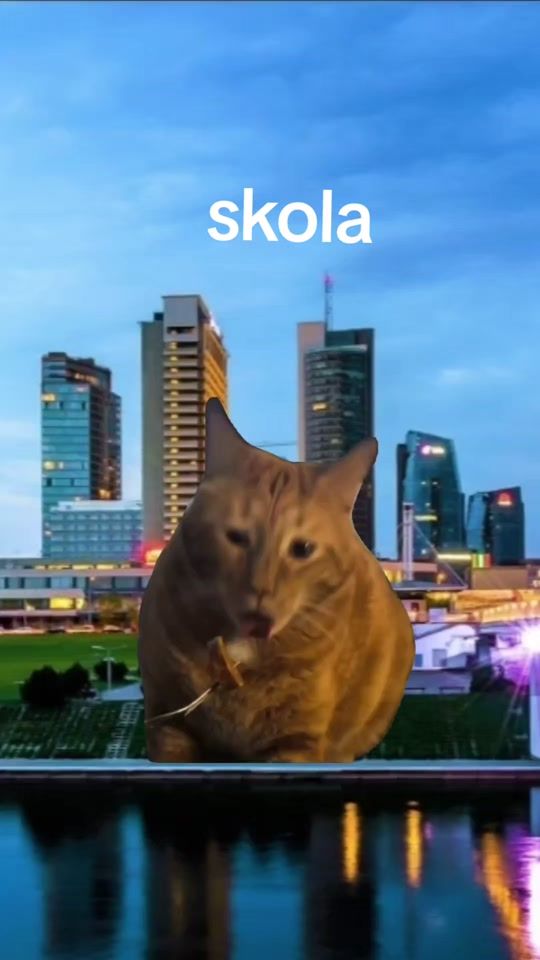 TikTok video thumbnail by pandl1232