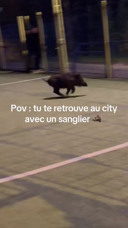 TikTok video thumbnail by fener5235
